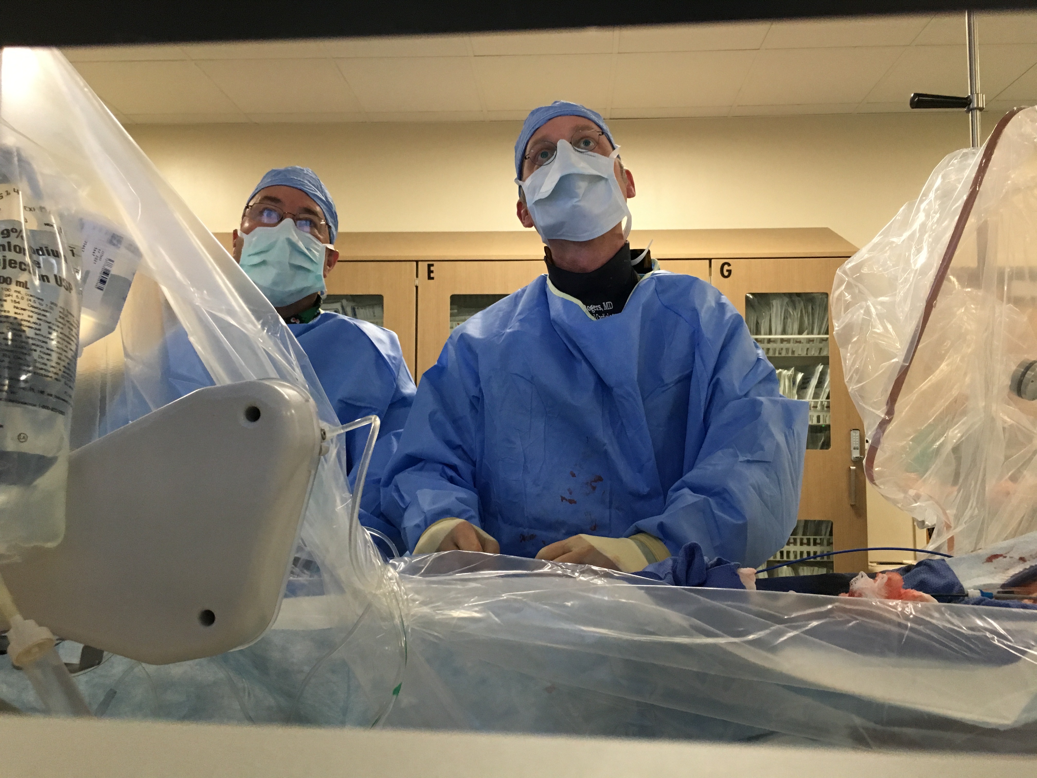 A 40,000 Foot View of Trends in Cardiology | DAIC