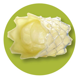 Melody Transcatheter Valve Shows Promising Results in Study on Patients  with Congenital Heart Disease | DAIC