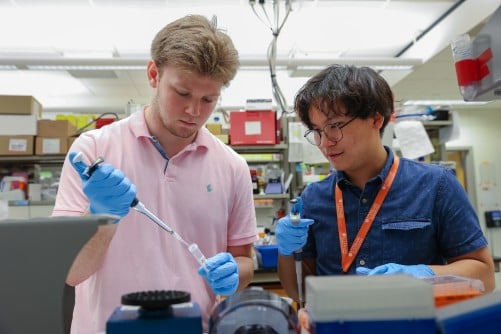 Teen Stroke Patient, Returning Participant Take Different Paths to Work Together This Summer in Uthealth Houston Brains Research Lab