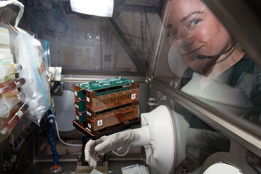 Astronaut Jessica Meir with the engineered heart tissues in their electronic habitat aboard the International Space Station (ISS). Photo courtesy of NASA