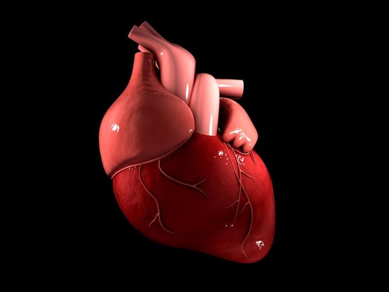 The Smidt Heart Institute recently received CAROL Act funding to study the connection between ventricular arrhythmias-abnormal heartbeats that start in the heart’s two lower chambers-and an elevated risk of sudden cardiac death in patients with mitral valve disease 