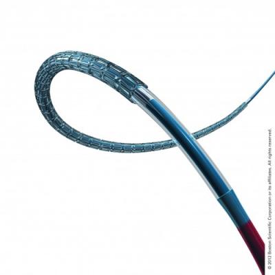 Boston Scientific Concludes Evolve II Clinical Trial Enrollment Synergy Stent