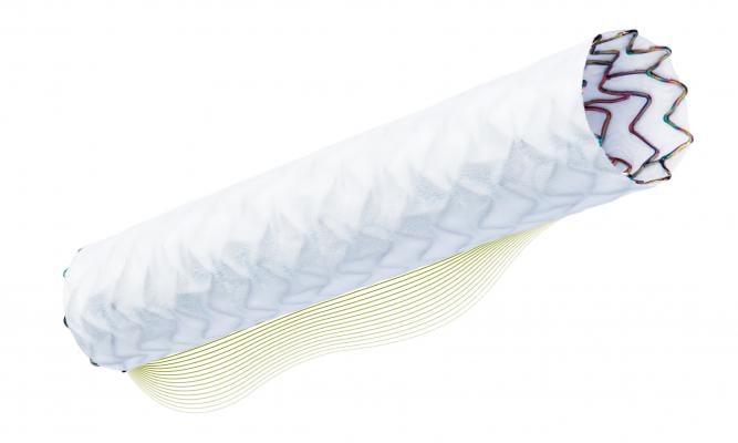 FDA Approves Biotronik's PK Papyrus Stent for Coronary Perforations
