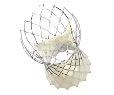 Medtronic released clinical outcomes in two transcatheter valve therapies from studies presented at the recent Society for Cardiovascular Angiography & Interventions 2024 Scientific Sessions, SCAI 2024.