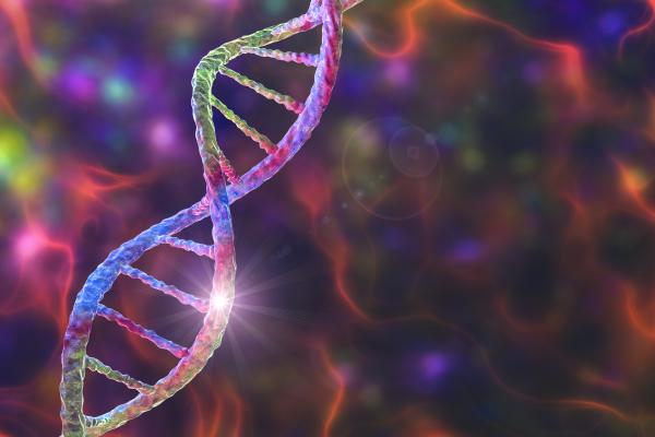 New genomic therapies for cardiovascular disease are reaching the clinical trial stage, according to moderators of a session presented at the American Heart Association Annual Scientific Session (AHA2022).