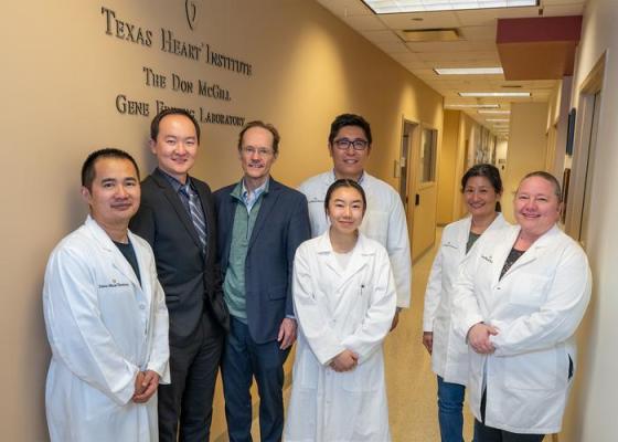 In a groundbreaking study, researchers from The Texas Heart Institute, Baylor College of Medicine, Texas Children's Hospital, and the University of Texas Health Science Center McGovern Medical School have shed light on the underlying molecular cell states within transplanted pediatric hearts, paving the way for improved treatment strategies and enhancing the longevity of cardiac allografts.
