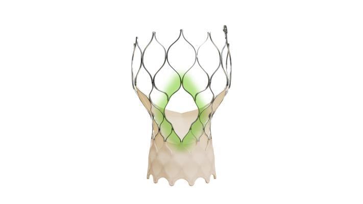 The Evolut FX+ TAVR system leverages market-leading valve performance with addition of larger windows to facilitate coronary access