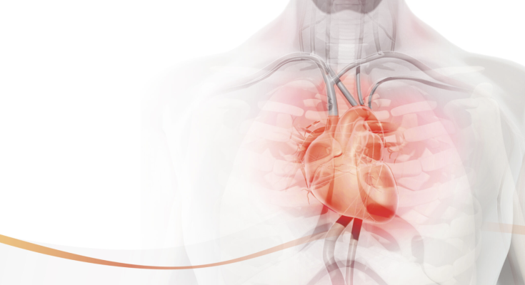The companies will jointly support a series of educational forums among clinicians beginning later this year highlighting the significant new scientific breakthroughs that are radically transforming the traditional approach to heart disease prevention and prediction 