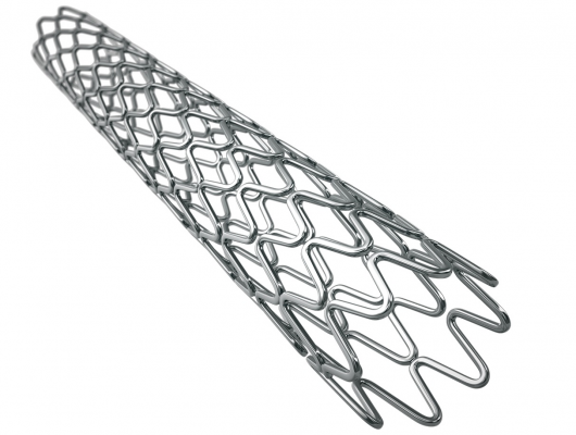 Onyx DES 2.0 mm stent meets primary endpoints in small vessels