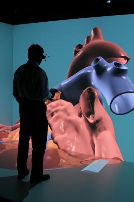 virtual heart, virtual organs, virtual clinical testing