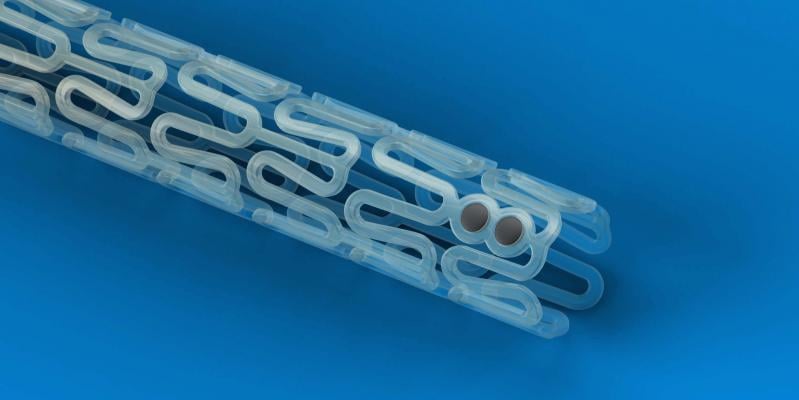 Absorb, bioresorbable stents