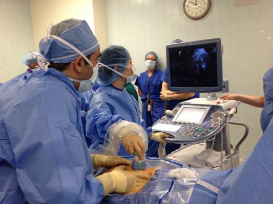cardiovascular ultrasound structural heart valve repair hollywood presbyterian
