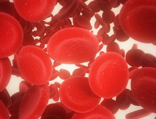 New Oral Anticoagulant Drugs Associated with Lower Kidney Risks