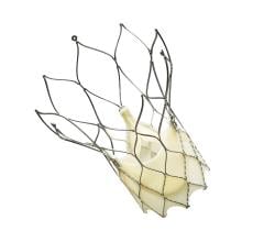 Portico Transcatheter Aortic Valve Successfully Reduces Severe Aortic Stenosis at One Year