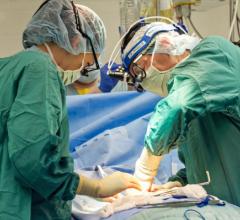 Scientists Show How Cells React to Injury From Open-Heart Surgery