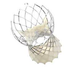 Medtronic released clinical outcomes in two transcatheter valve therapies from studies presented at the recent Society for Cardiovascular Angiography & Interventions 2024 Scientific Sessions, SCAI 2024.