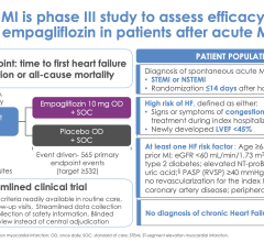 While composite of death and heart failure hospitalizations was not significantly reduced, empagliflozin may help reduce heart failure risks after a heart attack