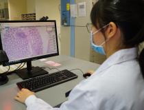 A pathologist at Singapore General Hospital reviewing and interpreting digital images of surgical pathology slides to diagnose cancer using Philips' enterprise imaging system. In 2020, hospitals around the world began universal masking policiesin all areas of the hospital operations to help prevent the spread of COVID among staff, evenin areas that do not come in conatct with patients.