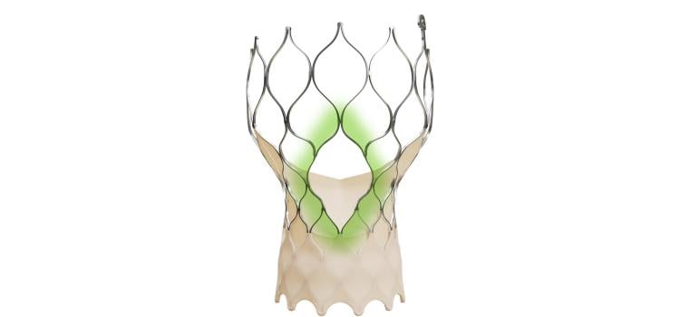 The Evolut FX+ TAVR system leverages market-leading valve performance with addition of larger windows to facilitate coronary access