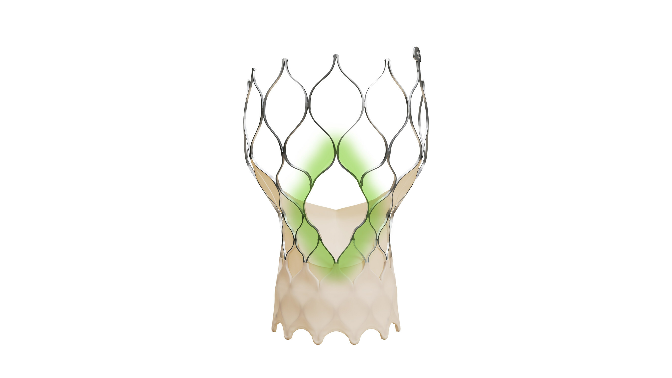Medtronic Announces FDA Approval of Newest-generation Evolut TAVR System for Treatment of Symptomatic Severe Aortic Stenosis - Vimarsana News