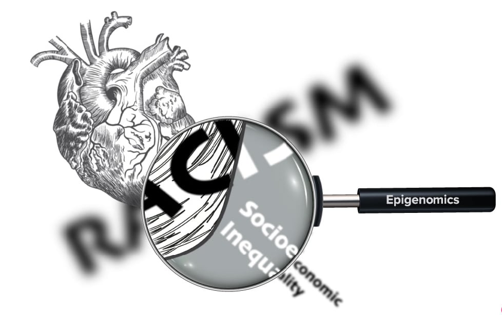 Socioeconomic Disparities Associate With Epigenetics and Heart Failure Outcomes - Vimarsana News