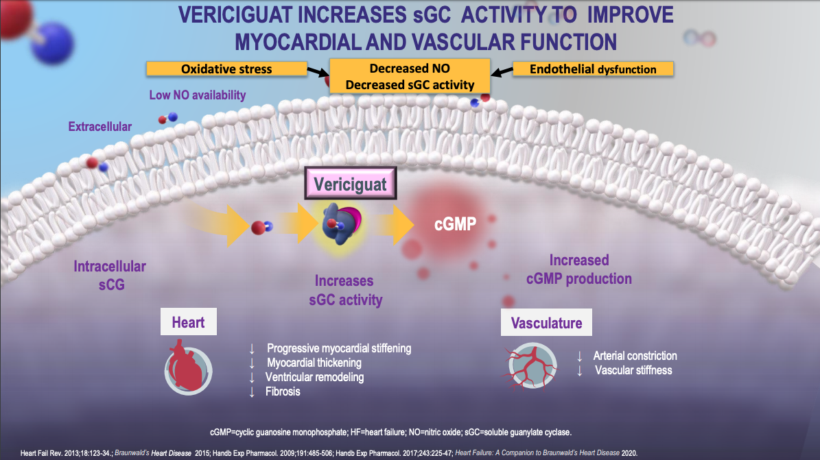 Vericiguat Improves Outcomes in Patients with Worsening Heart Failure | DAIC