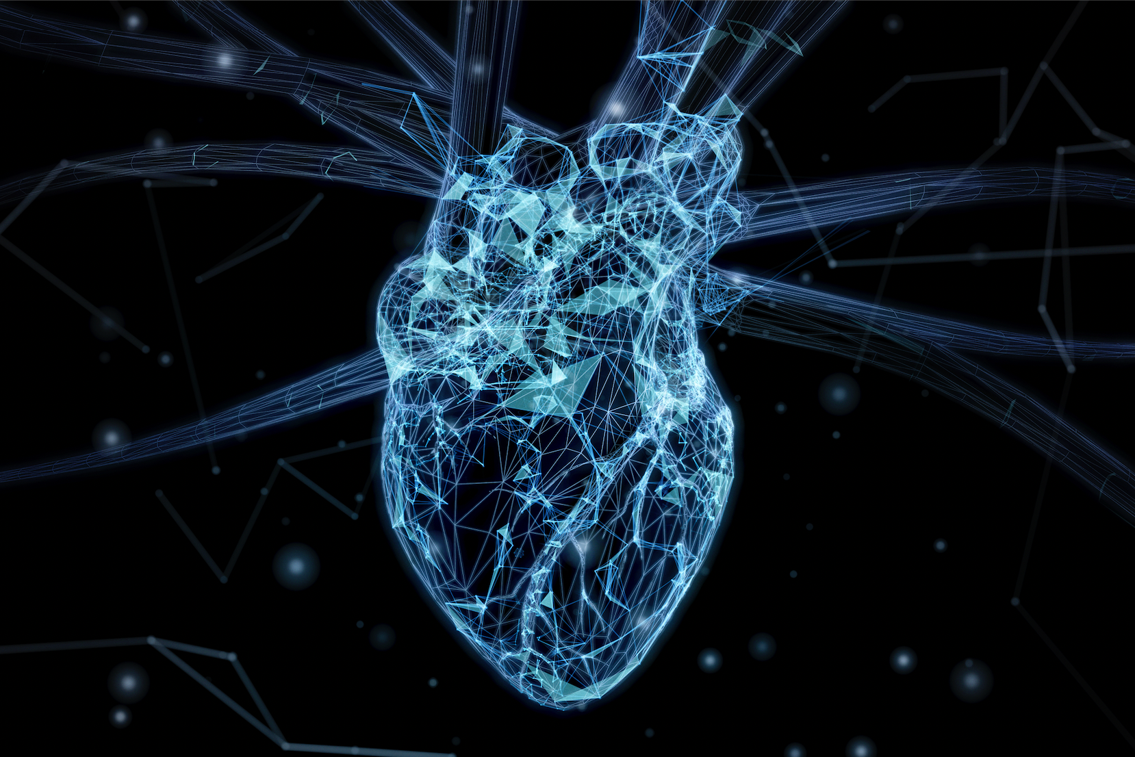 BLOG: The Power of Enterprise Imaging in Structural Heart Procedures