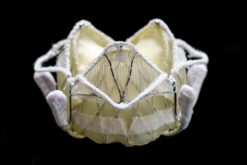 The LivaNova Caisson TMVR transcatheter mitral valve.