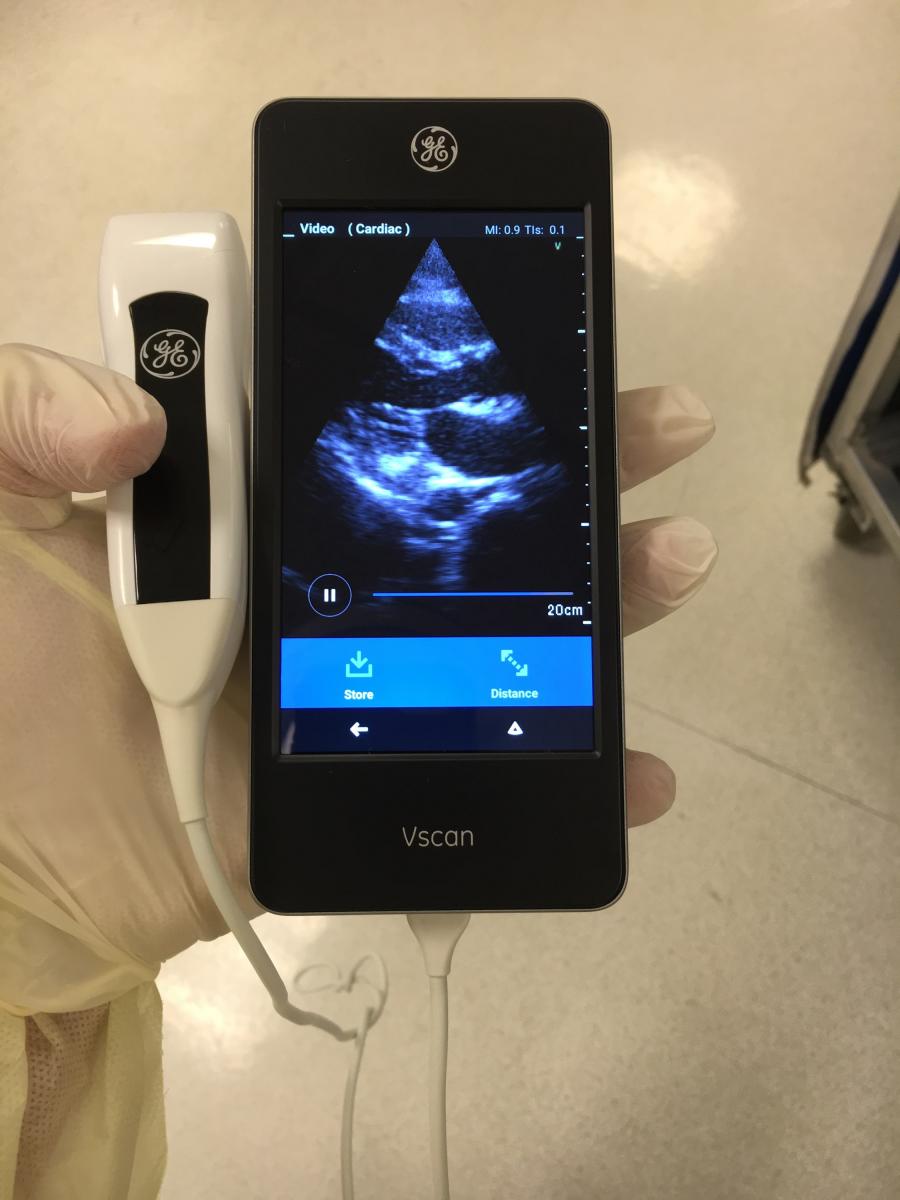 Naples Community Hospital Director of Cardiac Imaging Bill Shirkey showing a point-of-care echocardiogram of a COVID-19 patient he imaged with a GE Healthcare Vscan device bedside in an isolation room. Use of a small handheld device greatly speeds disinfection after the exam and does not require moving a larger cart-based ultrasound system into a room, which may require moving furniture and add exposure time in the room.