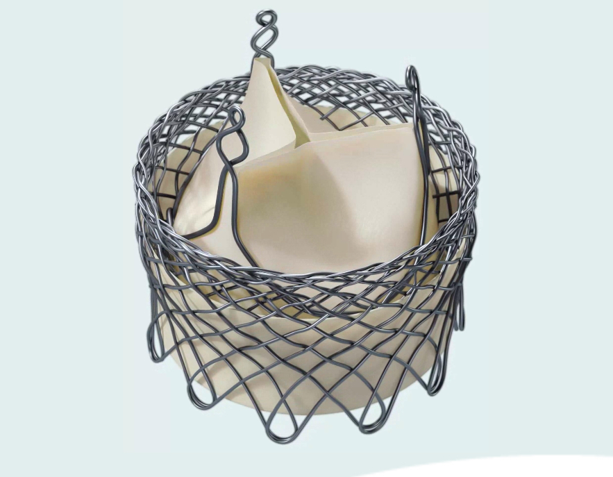 The HLT, Bracco, Meridian II TAVR Valve System.