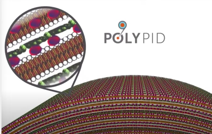 The company PolyPid has created the PLEX (polymer-lipid encapsulation matrix) platform is a matrix made of alternating layers of polymers and lipids that entrap a therapeutic drug. This self-assembled matrix forms a protected reservoir that enables controlled and continuous delivery of drugs over periods ranging from days to several months. The company hopes to use the platform to help prevent cardiovascular surgical site infections.