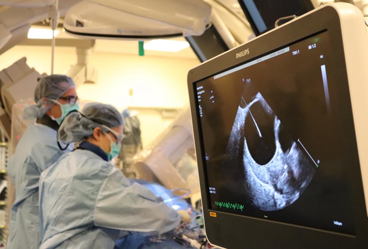 Bradley Knight, M.D., reviews placement of the cryoabation catheter using ultrasound ICE images from within the heart at Northwestern Medicine.