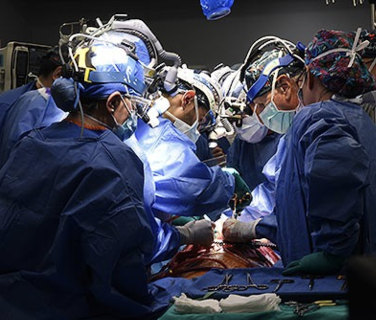 Xenotransplant surgery in progress. Image courtesy of the University of Maryland School of Medicine 