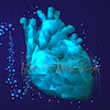 Ventripoint Subscription Cardiac Imaging