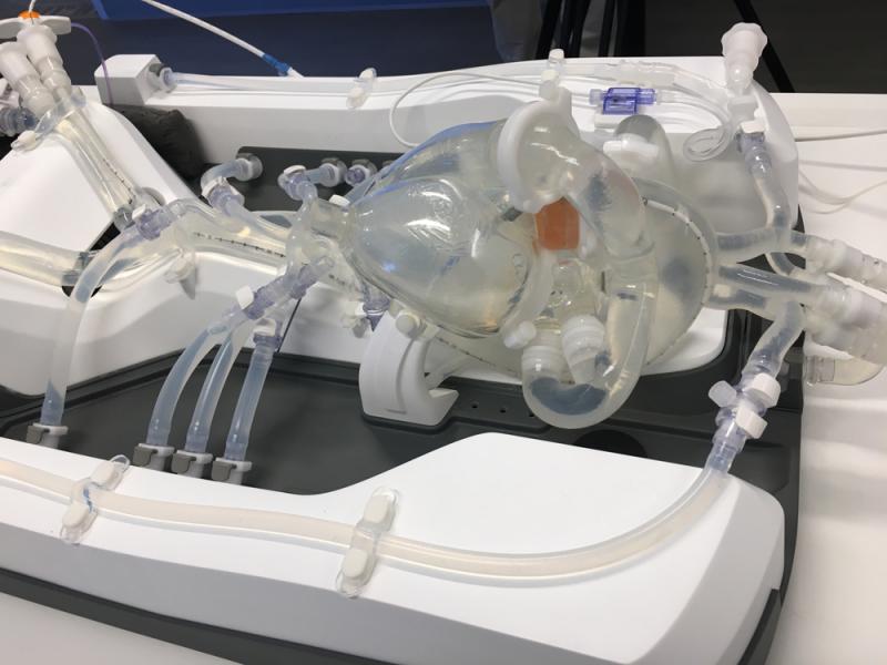 An Impella simulator, with is composed of a beating heart, aorta and femoral vessels to enable insertion and delivery of a percutaneous pump catheter. The operator can change the pump settings on the Impella control console and see the impact hemodynamically, and how the device is working into the transparent model of the anatomy.