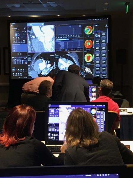 A hand-on training course at SCCT on how to use transcatheter aortic valve replacement (TAVR) planning software to extract measurements needed in a pre-procedure CT evaluation.