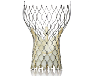 heart valve repair hybrid or cath lab structural heart tct medtronic corevalve