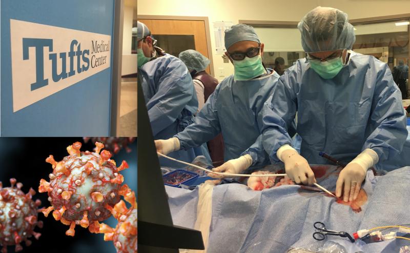 This year's top videos are dominated by COVID-19's impact on cardiology and many of the videos from a series produced this year on Tuft Medical Center's cardiology program. Top DAIC cardiology videos from 2020 #TuftsmedicalCenter #Tufts #COVID19