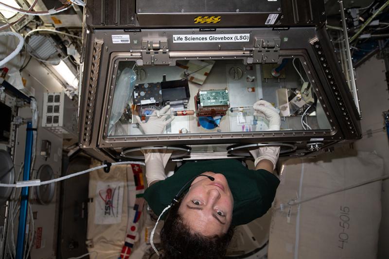 Astronaut Jessica Meir “feeds” a set of the University of Washington’s engineered heart tissues (inside the green-topped case at center) riding aboard the International Space Station as part of a test of micro-gravity on heart health. Image courtesy of NASA. 