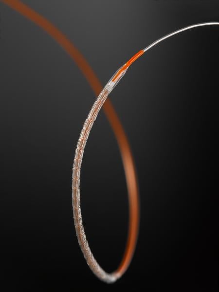 abbott Xience Xpedition stent