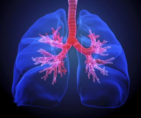 Pulmonary arterial hypertension, a form of high blood pressure that occurs in the lungs, is a target of research by Cedars-Sinai investigators.