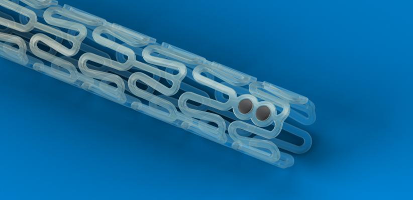 FDA Investigating Increased Major Adverse Cardiac Event Rates of Absorb Bioresorbable Stent