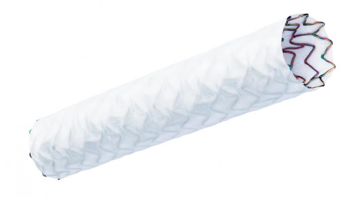 BIOTRONIK’s PK Papyrus covered coronary stent. The stent ius used in emergency coronary artery dissections to repair the vessel wall.