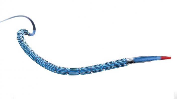Synergy Stent With Shorter DAPT Superior to Bare-Metal Stent in Elderly Patients