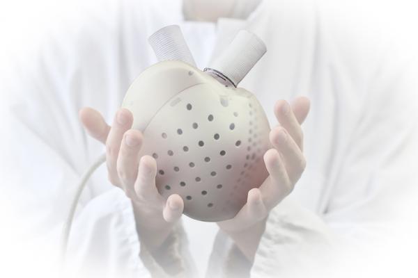 he U.S. Food and Drug Administration (FDA) has approved Carmat's investigational device exemption (IDE) application to start a U.S. early feasibility study (EFS) of its total artificial heart.