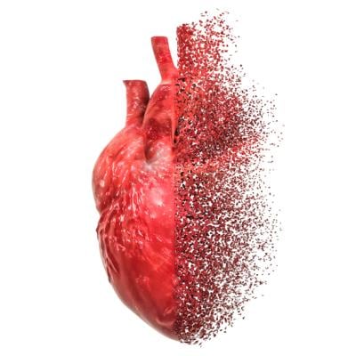 A variant typical of the Finnish population that protects against heart diseases was identified in the FinnGen genomic study coordinated by the University of Helsinki. 