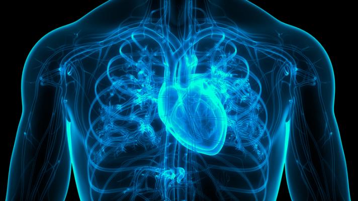 Anthos Therapeutics has announced that Abelacimab has received FDA Fast Track Designation for the prevention of stroke and systemic embolism in patients with atrial fibrillation.