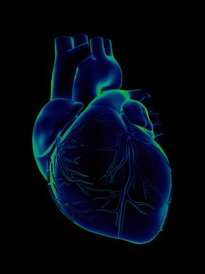 Individuals with diabetes display a substantially increased risk of disease in left-sided heart valves compared to controls without diabetes, a comprehensive register study at the University of Gothenburg shows. 