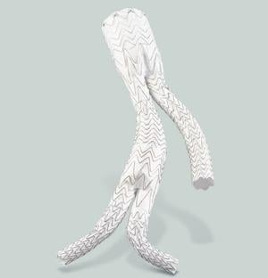 Gore Begins Pivotal Study in Aortoiliac Aneurysmal Disease