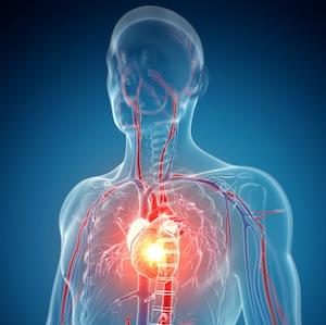 Report: AI Could Help ID Hidden Heart Failure Nine Months Earlier